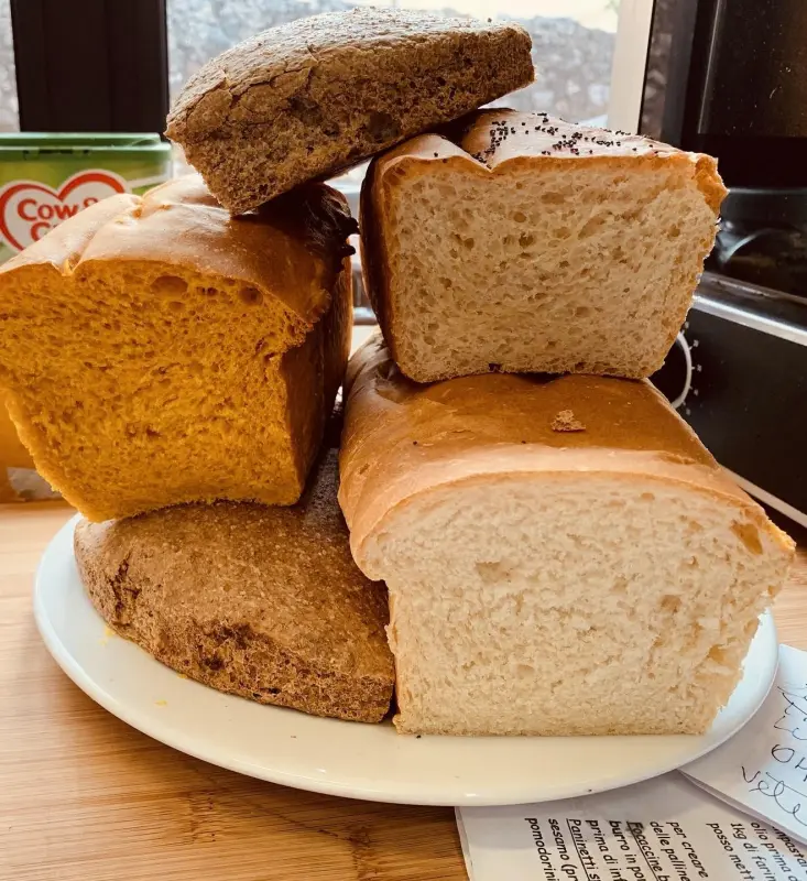 Pane Quotidiano